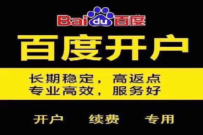 百度竞价排名案例：如何实现低成本高回报